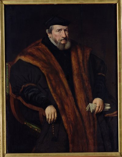 Ritratto di un uomo, 1564 da Netherlandish School